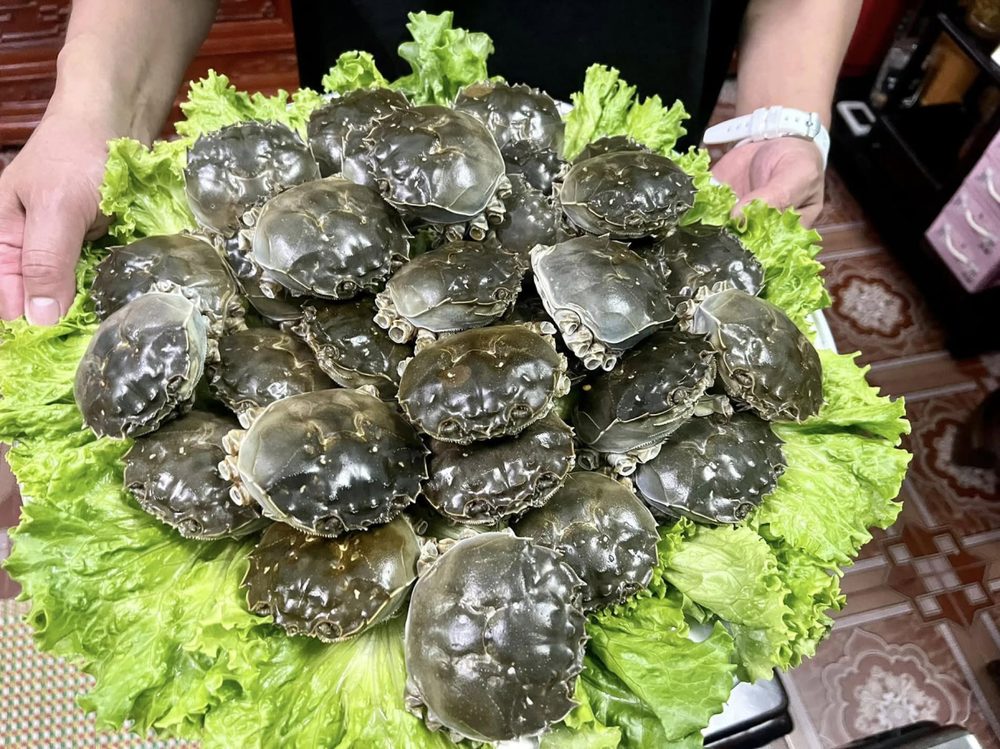 Cua da Bắc Giang - Cua da tươi sống